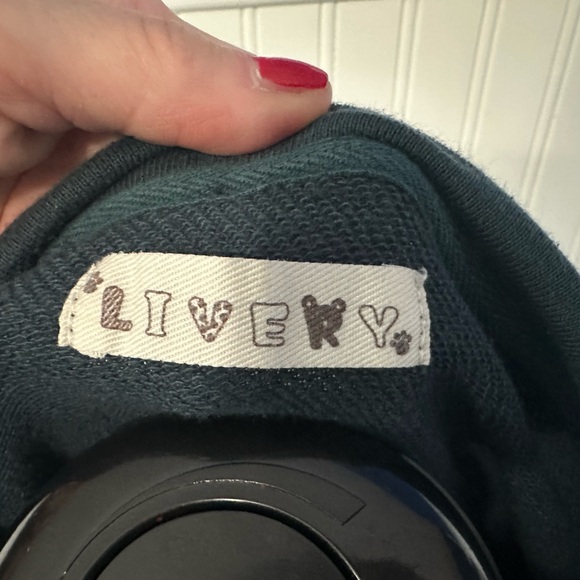 Dinosaur sweatshirts from Japan - Picture 6 of 6